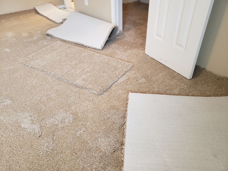 Basement Carpet Stretching in Denver County, CO