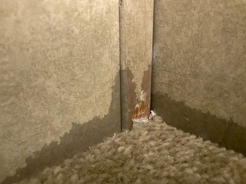 Carpet Patching in Alpharetta, GA