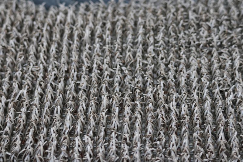 Commercial Carpet Repair in Olathe, KS