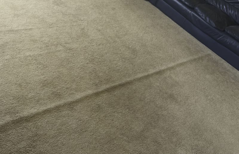Pet Stain Carpet Repair in Olathe, KS