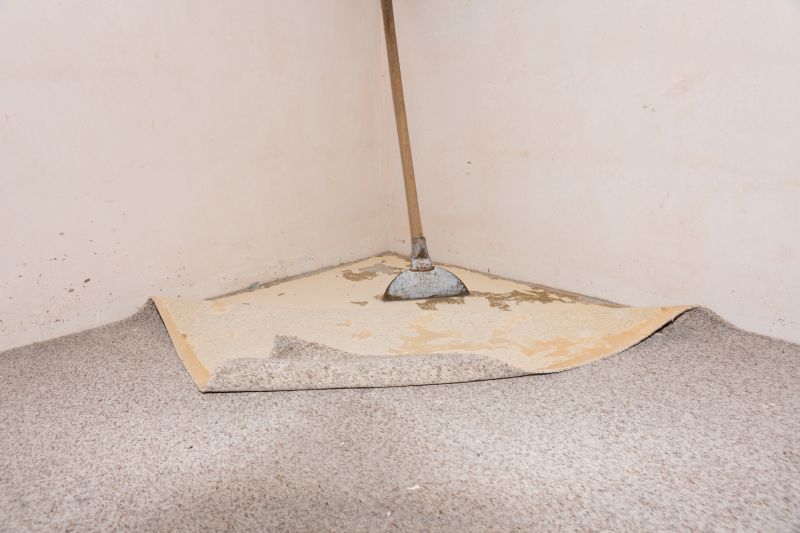 Stair Carpet Repair in Overland Park, KS